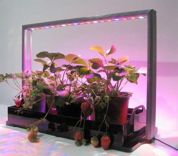 LED Pflanzenlampe mit Hydroponik-Set, Mini Farm M30 18xLED R+B+W