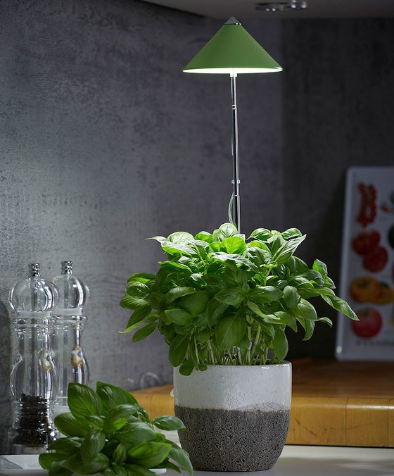 LED Pflanzenlampe / LED Grow Lampe grün 7Watt für Töpfe