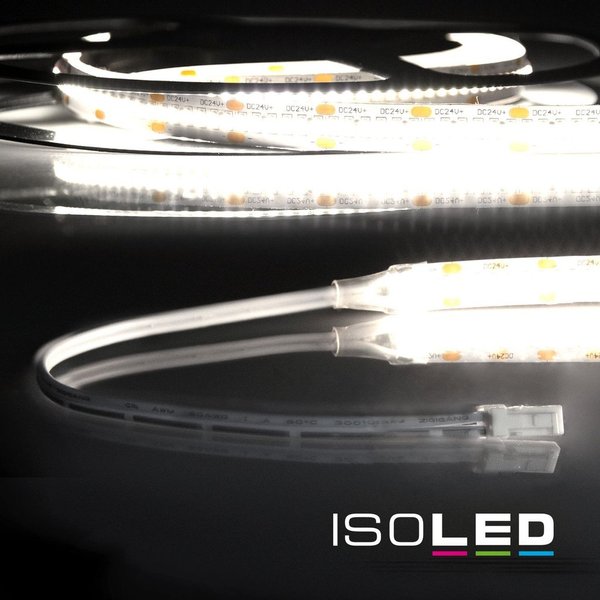 LED Flexband ISOLED mit MiniAMP Stecker 12W/m 4000K 24VDC 2.5m